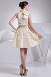 Champagne Fit And Flare Short Dress WIth Bow