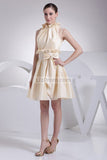 Champagne Fit And Flare Short Dress WIth Bow2